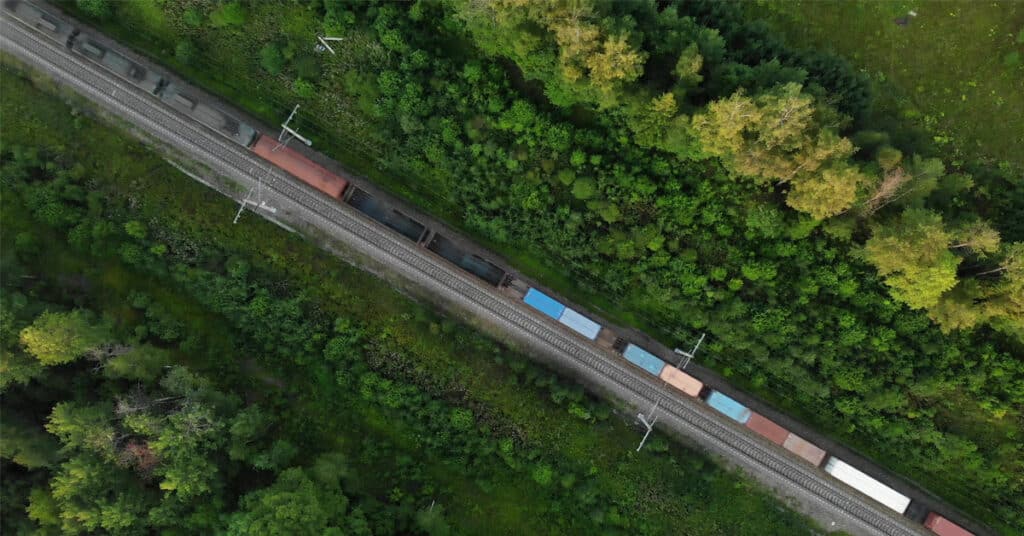 A line of colorful rail freight travels along tracks through a forest.
