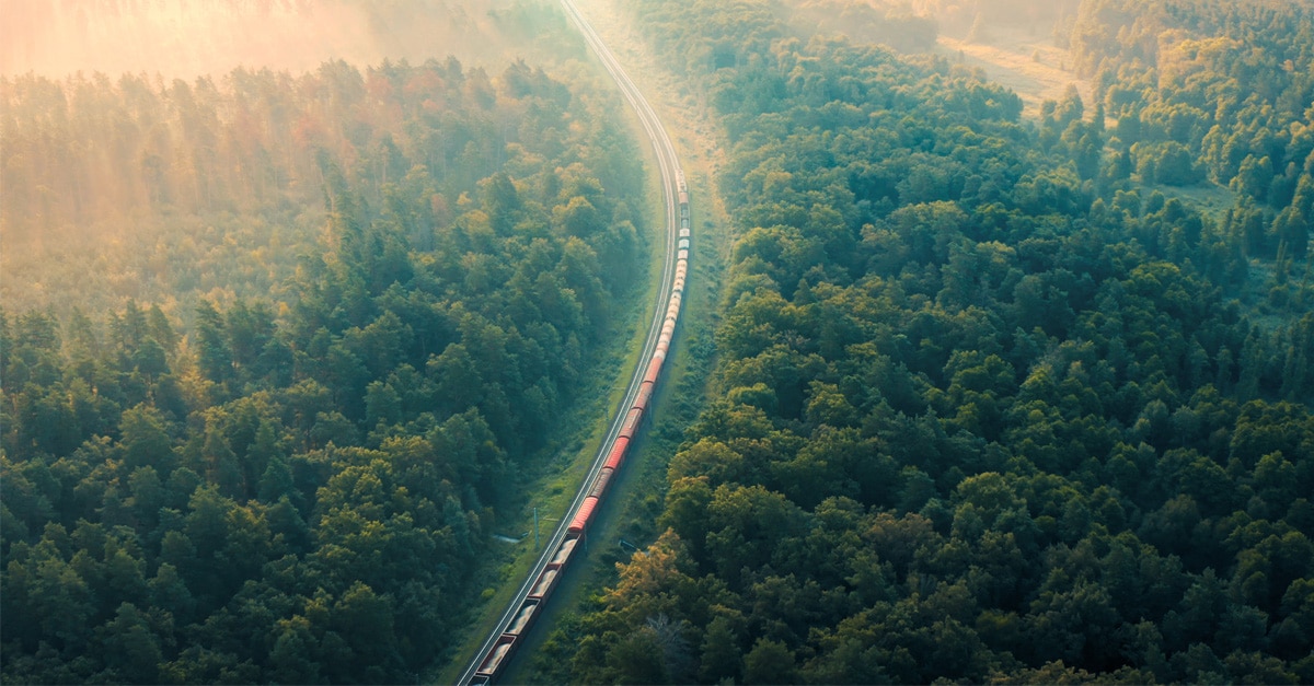 Cargo Train in summer morning forest at fog sunrise. Aerial view of moving freight train in forest.
