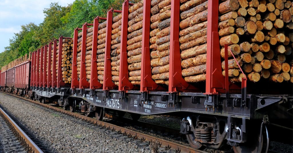 Rail freight shipping cars loaded with pine trunks.